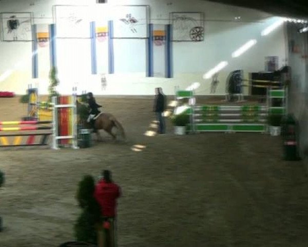 Legdener Ponymeeting 2011