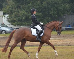 broodmare Fjella (Hanoverian, 2012, from Fürst Nymphenburg)