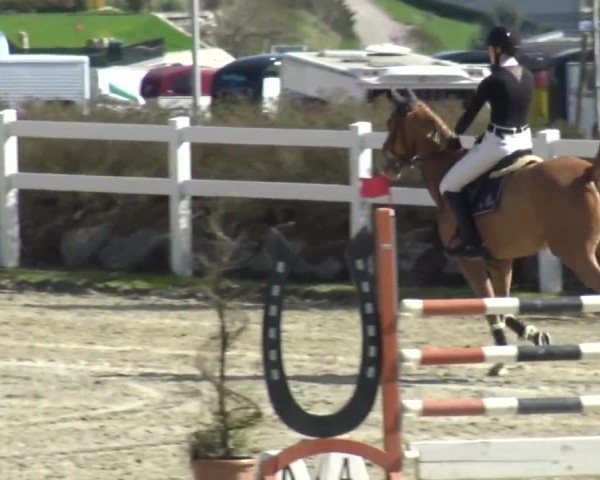 Reitturnier St. Margarethen 2024