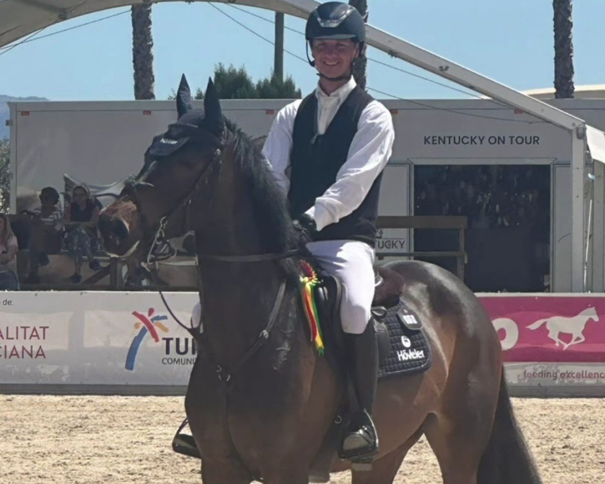 Springpferd Tina van Leut (Belgisches Warmblut, 2019, von Etoile M)