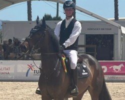 jumper Tina van Leut (Belgian Warmblood, 2019, from Etoile M)