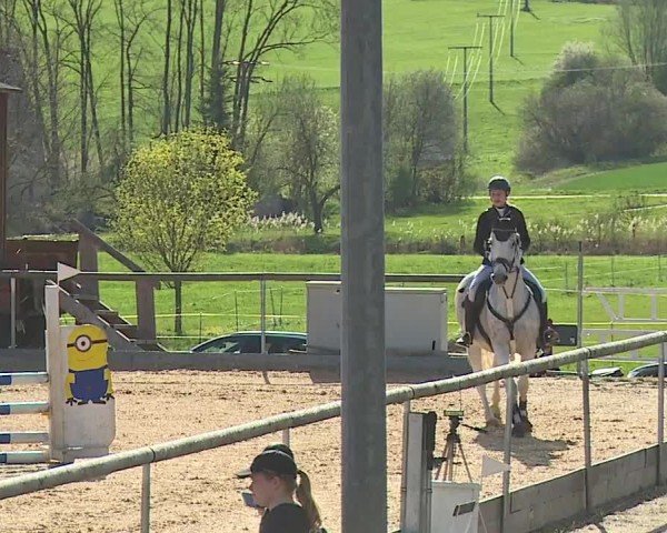 Reitturnier Altentrüdingen/Mfr. 2024