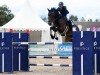 jumper Fortaleza 7 (Swedish Warmblood, 2010, from Canoso)