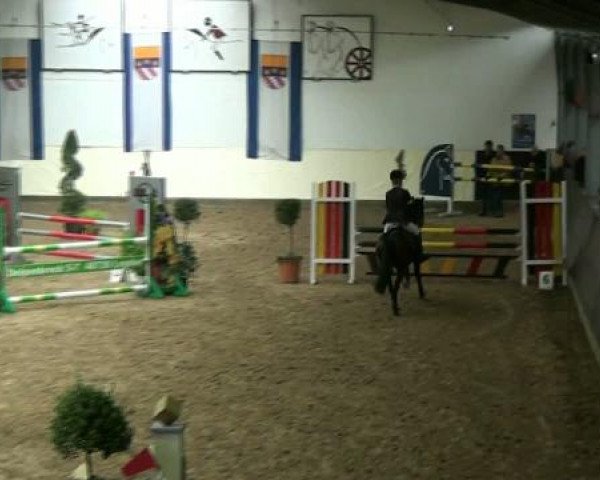 Legdener Ponymeeting 2011