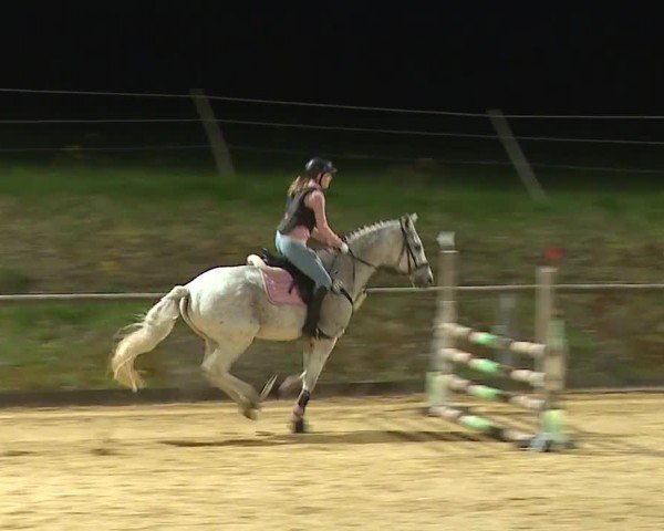 Reitturnier Altentrüdingen/Mfr. 2024