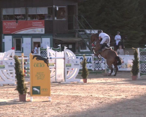 Reitturnier Ranshofen - Braunau am Inn 2024