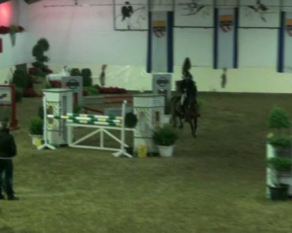 Legdener Ponymeeting 2011