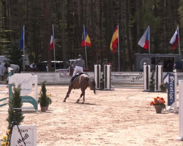 Reitturnier Ranshofen - Braunau am Inn 2024