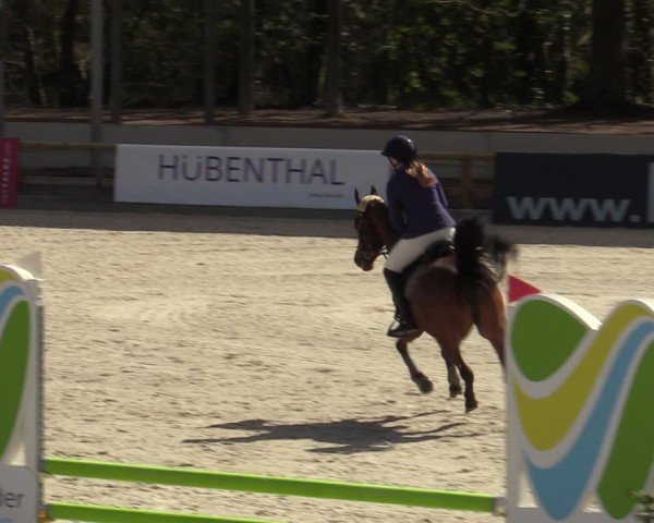 Reitturnier Balve-Wocklum 2024