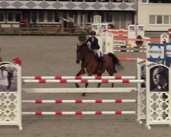 Reitturnier Balve-Wocklum 2024