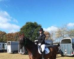 dressage horse Janoush (Rhinelander, 2012, from Abgott's Jarino)