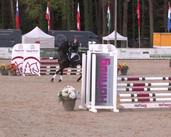 Reitturnier Ranshofen - Braunau am Inn 2024