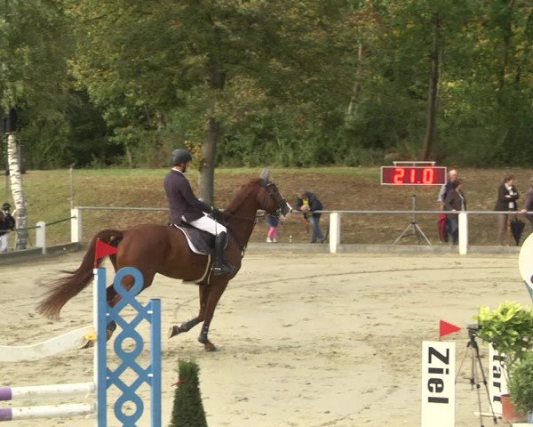 Reitturnier Forst 2021