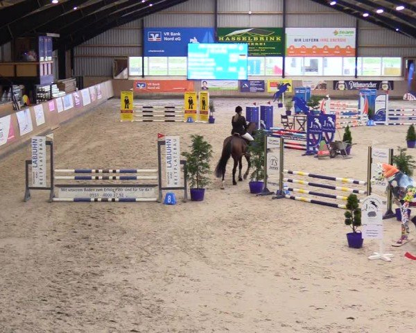 Reitturnier Niebüll - Jumping Team Nord 2024