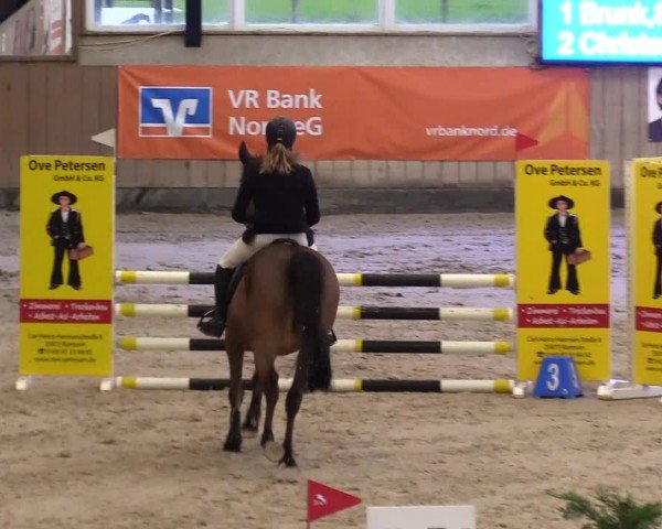 Reitturnier Niebüll - Jumping Team Nord 2024
