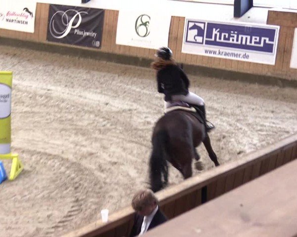 Reitturnier Niebüll - Jumping Team Nord 2024