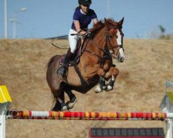 jumper Mini Dollar (Oldenburg show jumper, 2007, from Dollar du Murier)