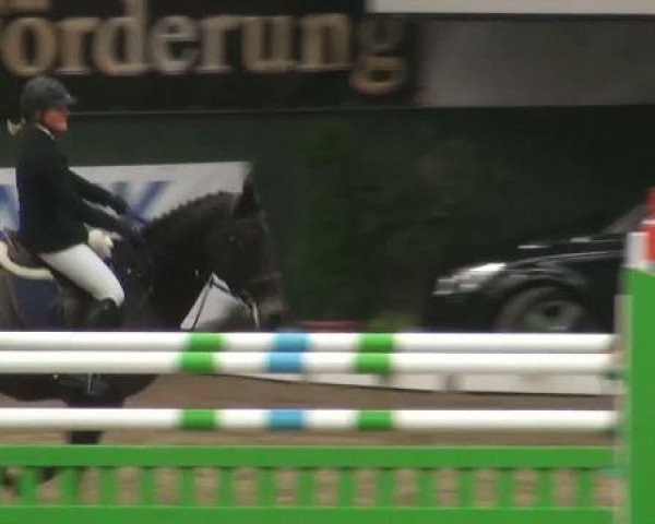 Warsteiner Champions Trophy 2011
