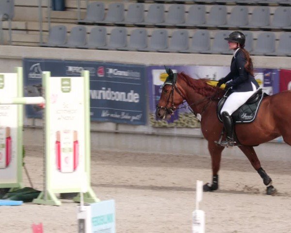 Reitturnier Aachen 2024