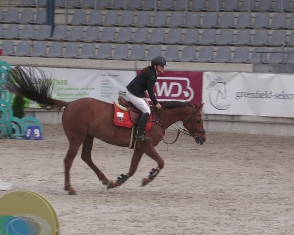 Reitturnier Aachen 2024