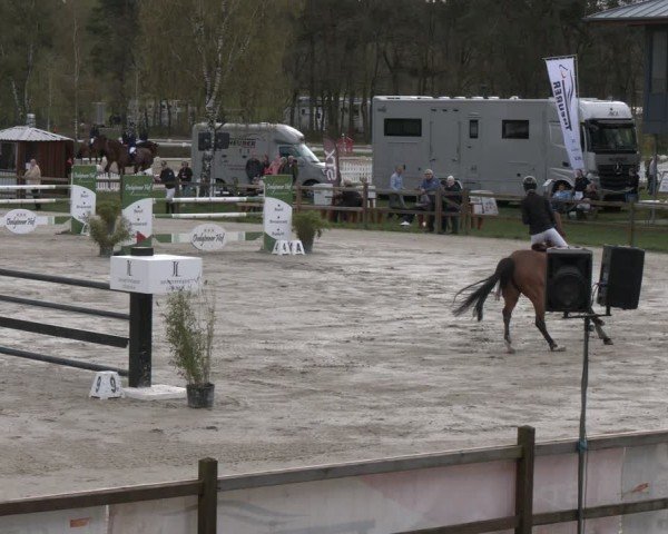Reitturnier Westergellersen 2024