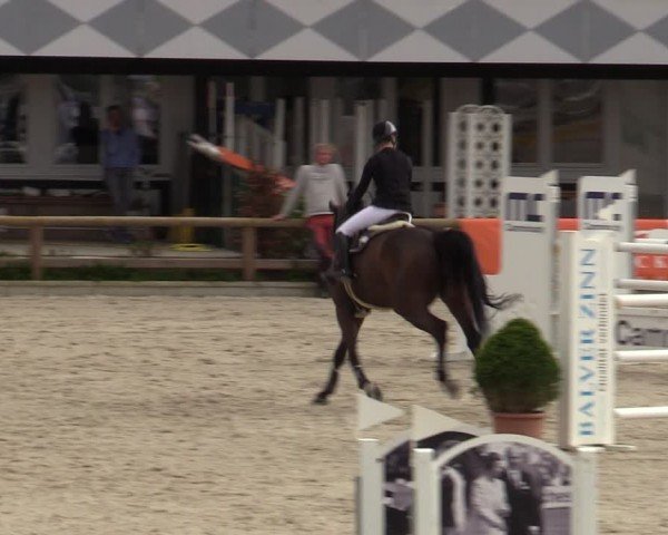 Reitturnier Balve-Wocklum 2024