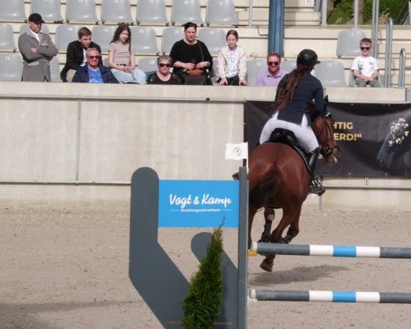 Reitturnier Aachen 2024