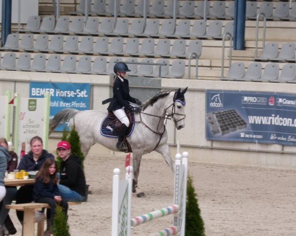 Reitturnier Aachen 2024
