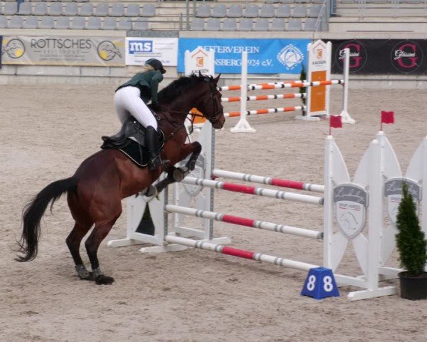Reitturnier Aachen 2024