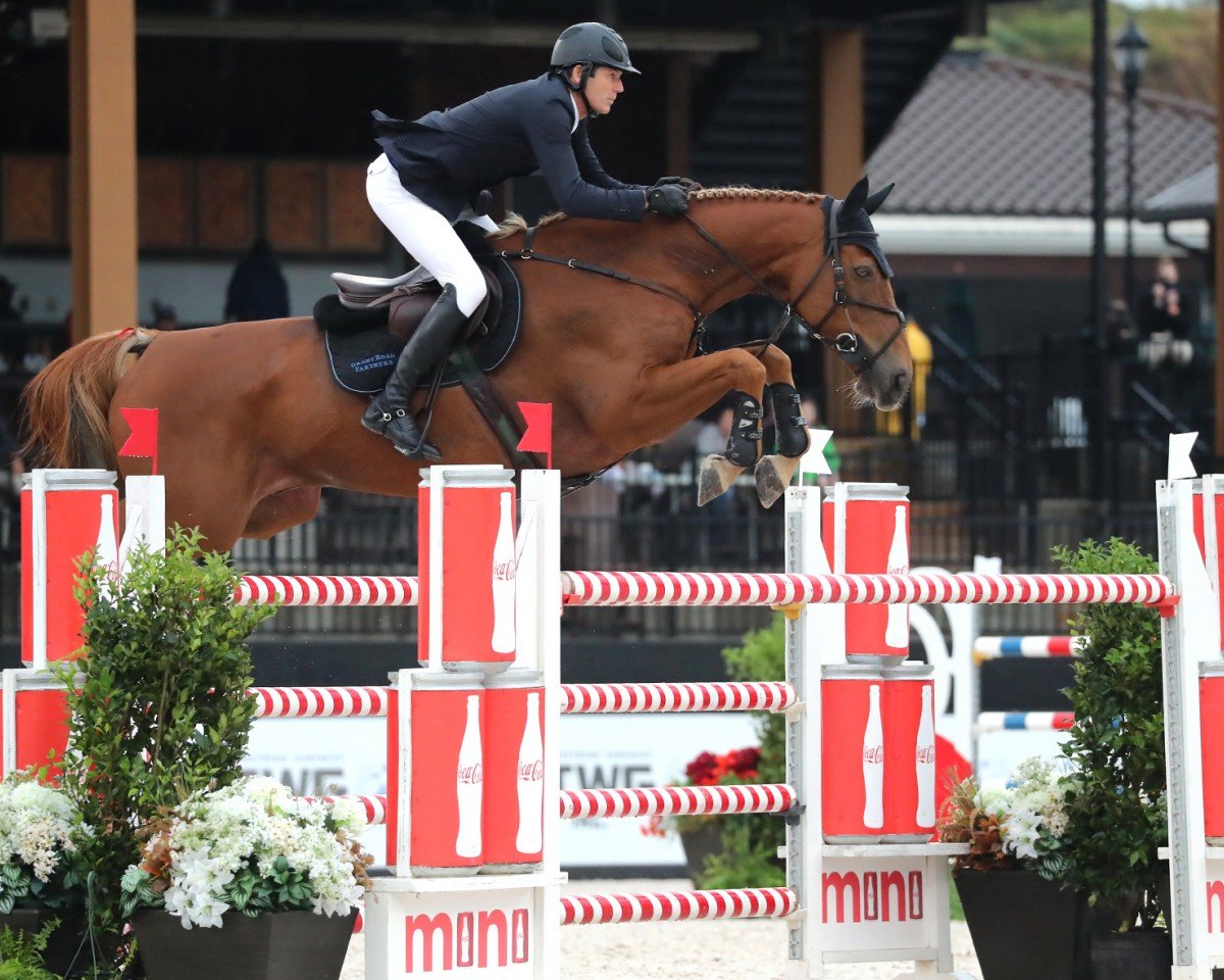 Springpferd Vic des Cerisiers (Selle Français, 2009, von Olympic d'Anguerny)