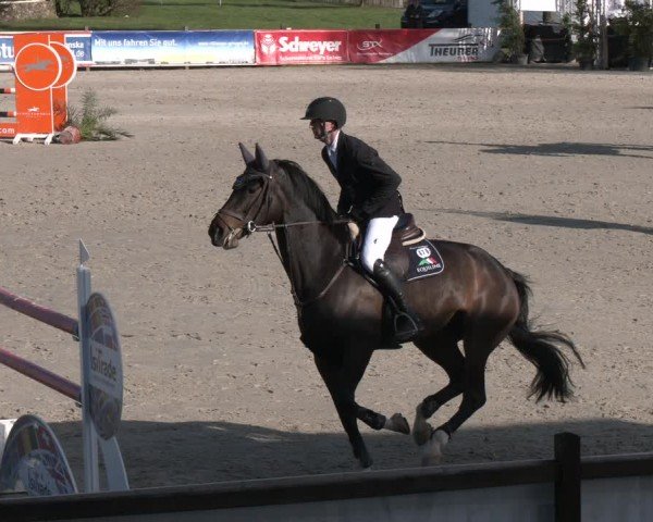 Reitturnier Westergellersen 2024