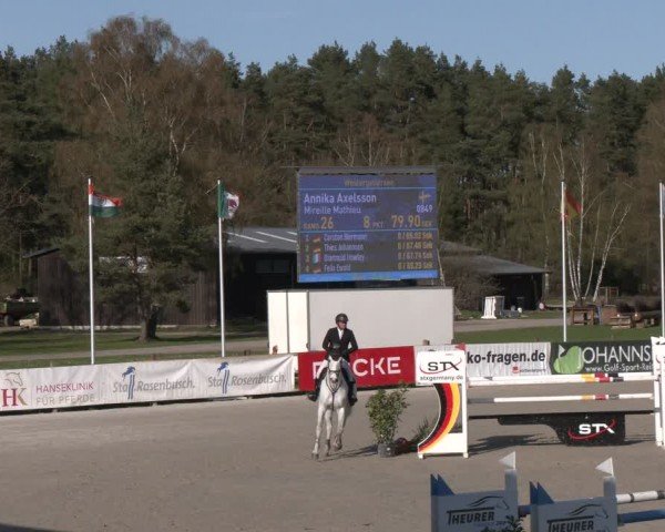 Reitturnier Westergellersen 2024