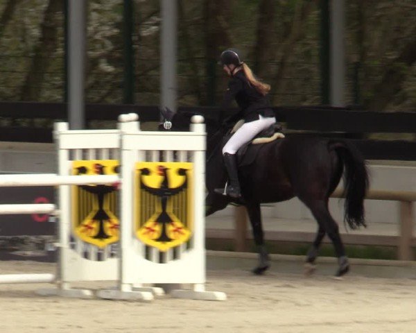 Reitturnier Balve-Wocklum 2024