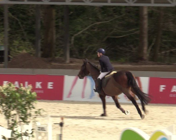 Reitturnier Balve-Wocklum 2024