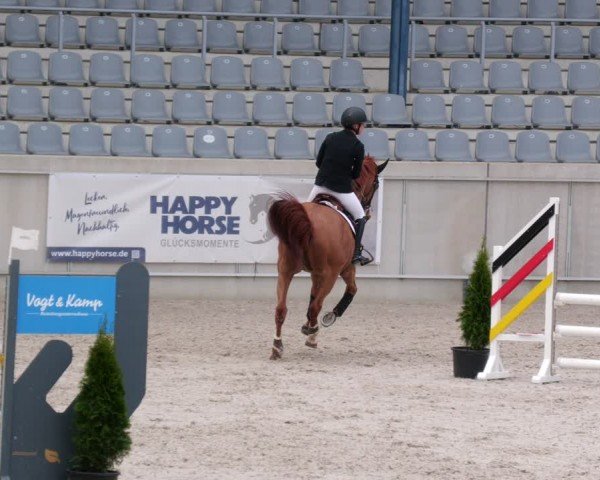 Reitturnier Aachen 2024