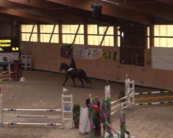 Reitturnier Fehraltorf 2024