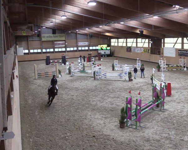 Reitturnier Fehraltorf 2024