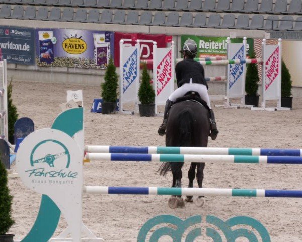 Reitturnier Aachen 2024