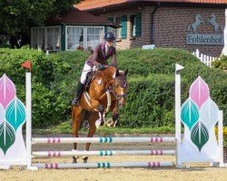 dressage horse Florrick (Hanoverian, 2007, from Fighting Alpha)