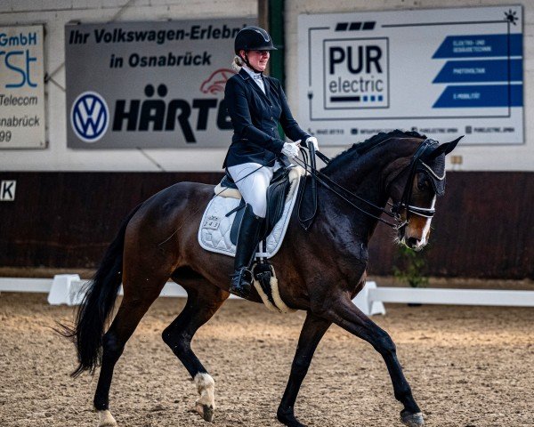 dressage horse Finabella M (Hanoverian, 2018, from Florenz 71)