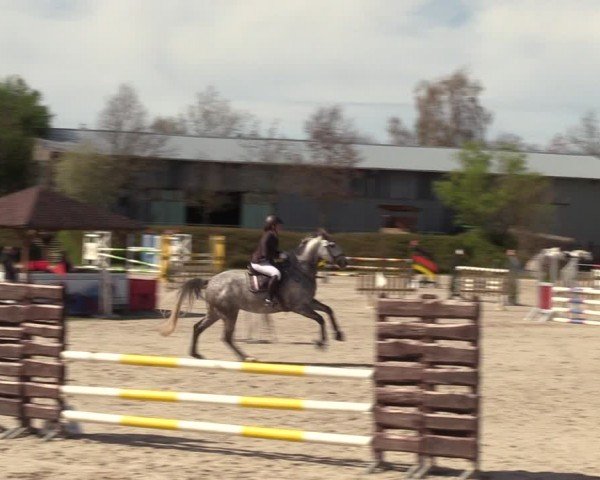 Reitturnier Pietzpuhl 2024