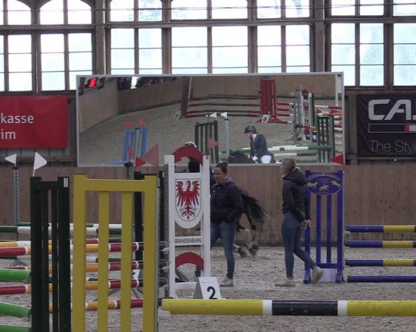 Reitturnier Elisenau 2024