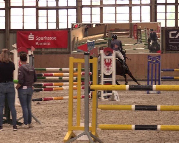 Reitturnier Elisenau 2024