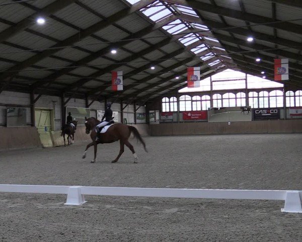 Reitturnier Elisenau 2024