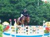 jumper Darcia (anglo european sporthorse, 2011, from Warrior)