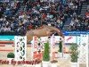 jumper Lavita Gold (German Sport Horse, 2020, from Stakkato Gold)