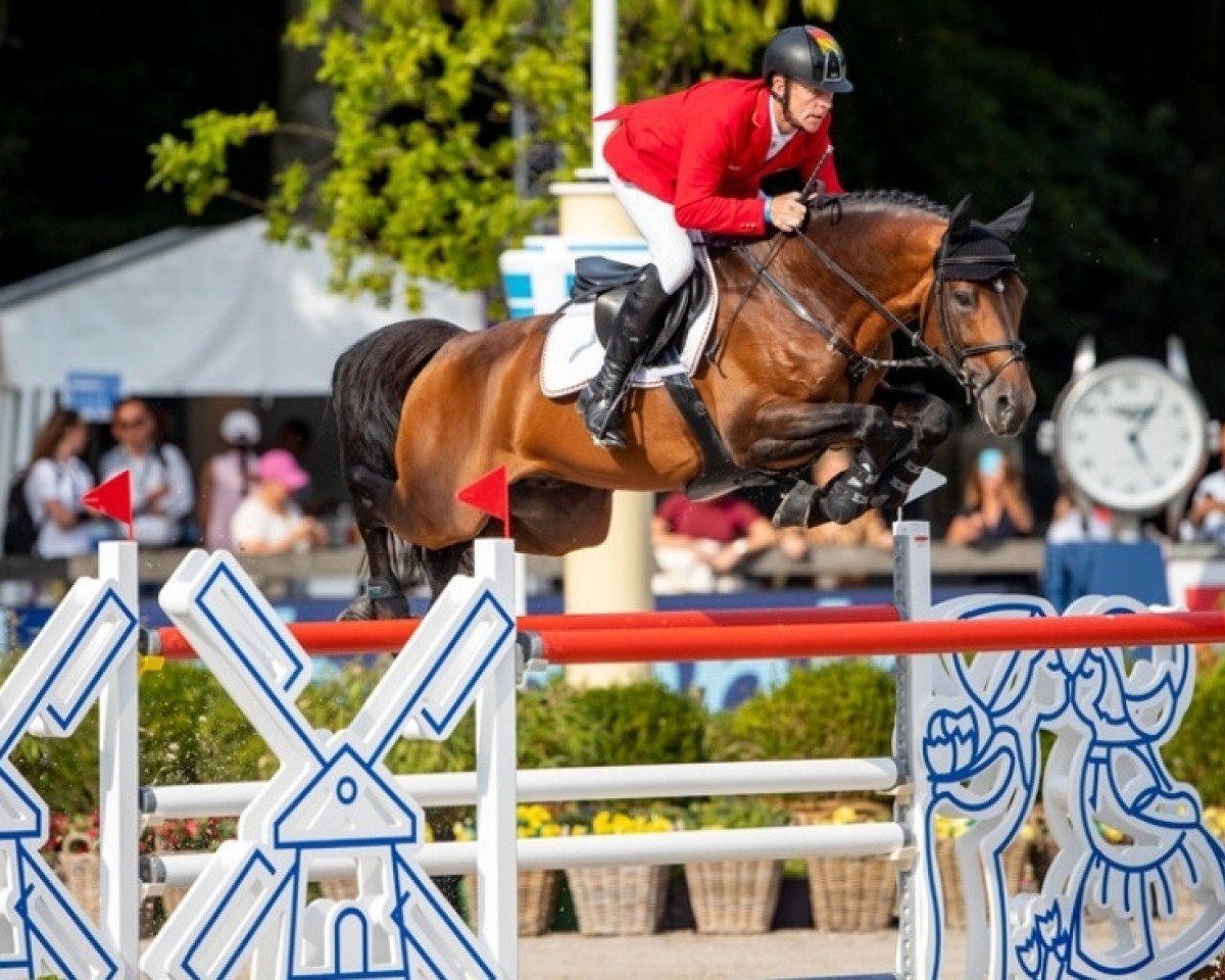 stallion Comme il Faut (Westphalian, 2005, from Cornet Obolensky)