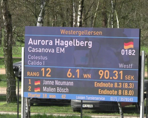 Reitturnier Westergellersen 2024