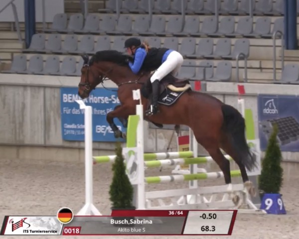 jumper Akito blue S (Oldenburg show jumper, 2019, from Action Blue)