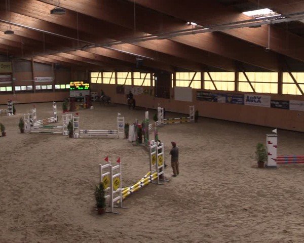 Reitturnier Fehraltorf 2024